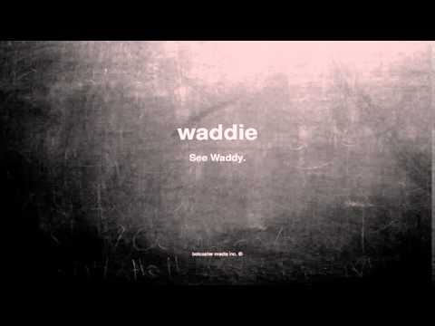 Video: Was ist die Definition von waddies?