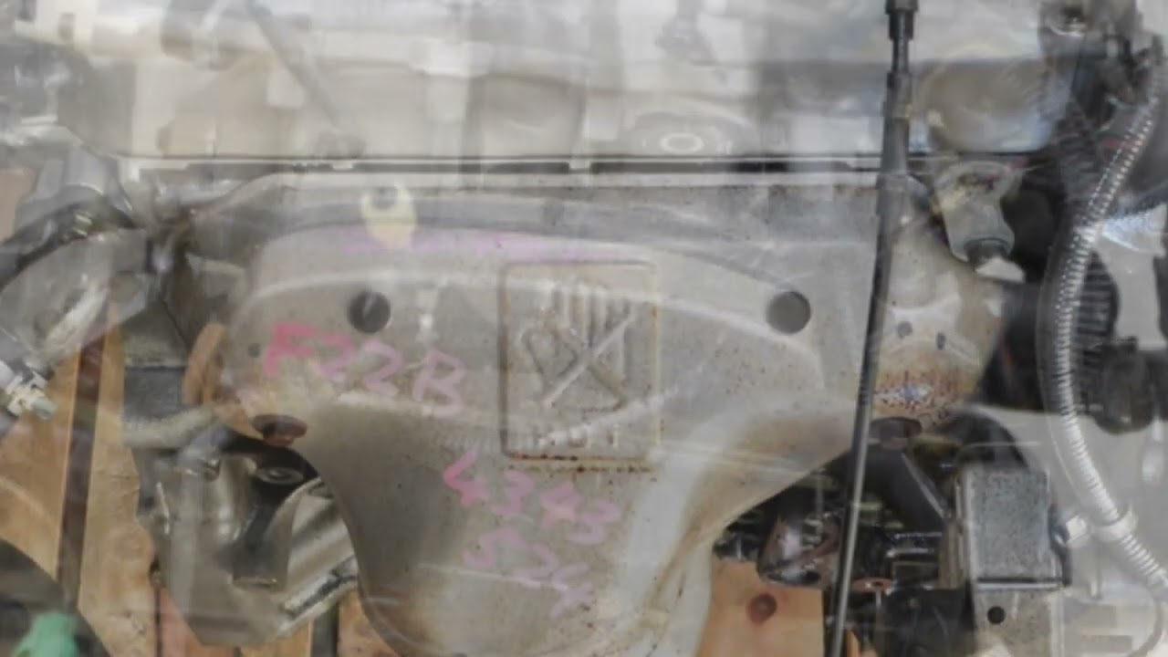 Problemas e fraquezas da F22B 2.2