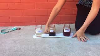 Christ and Sin Experiment