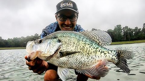 MONSTER CRAPPIE ON (almost) EVERY CAST!