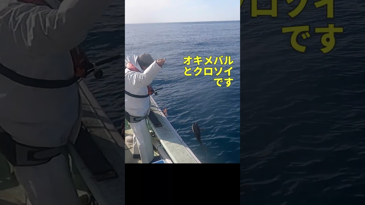 電動リールの使い方～電動リールを初めて使う方へ／釣り船 新潟 上越