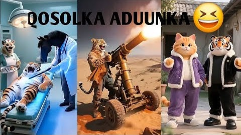 Animation qosolka aduunka! Part 3 geena #sheekocaruureed #sheekooyin