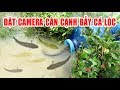 Đặt Camera cận cảnh bẫy cá lóc | Build Fish Trap And Catch Catfish | góc sẻ chia