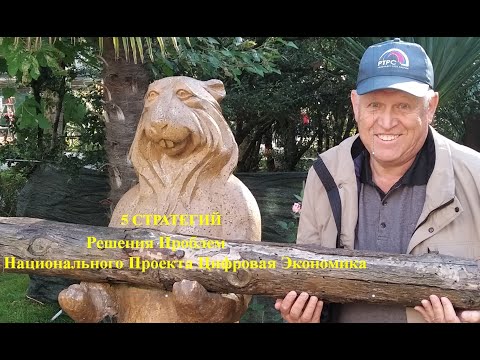 Основные СТРАТЕГИИ достижения Целей Цифровой Экономики.