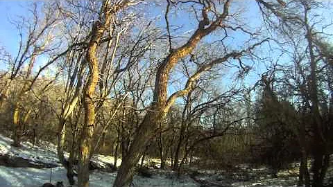 Neature Walk.m4v