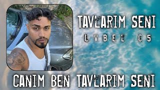 Canım Ben Tavlarım Seni Lvbel C5 Remix 2025