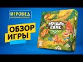 Перекати-ёжик и друзья. Обзор настольной игры от Игроведа