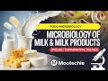 Microbiology of Milk and Milk Products | Spoilage, Contamination &amp; Milk-Borne Diseases | MooTechie