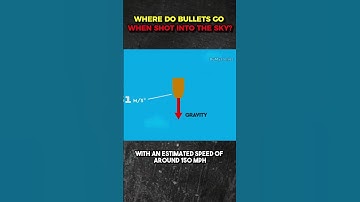 Where Do Bullets Go When Shot Into the Sky? #shorts