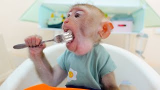 PUPU monkey holds a spoon to eat the rice his mom prepared.
