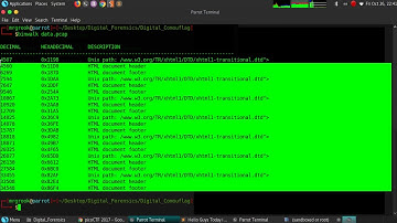 1 - Digital Camouflage 2017 picoCTF Challenge (Forensics Challenge)