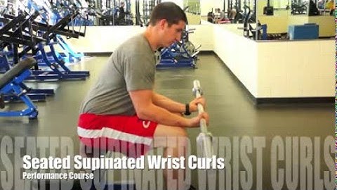 Seated Wrist Curls