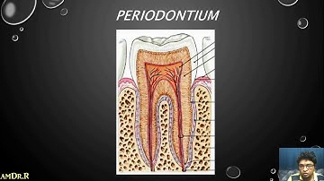 FDP ASSIGNMENT 2 FOR YOUTUBE