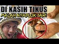 PYTHON GAK ADA AHLAK | DI KASI MAKAN MALAH JARI YANG DI EMBAT !