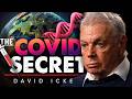 The Hidden Science Inside the COVID Vaccine - Rose/Icke 10