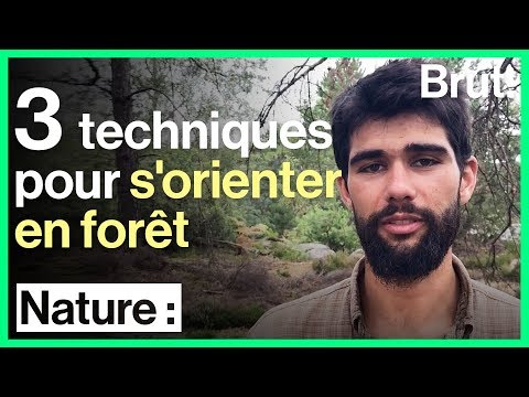 Vidéo: Comment Trouver Une Personne Dans La Forêt