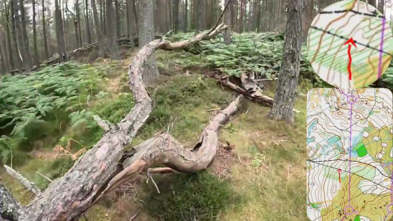 2025 S6D: Day4 - Balfour - M21E