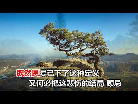 倪红  不能忘记那就狠狠回忆 MTV