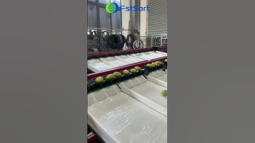 Mango manual weight sorting machine  #mango #sorting #smartfarmingtechnology #hightech  #automobile