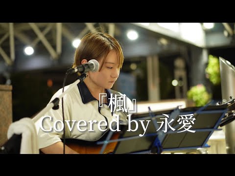 楓/スピッツ Covered by 永愛