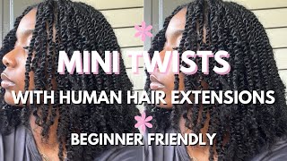 i tried mini twists with HUMAN HAIR EXTENSIONS from HotBraids! | beginner-friendly | type 4a/4b