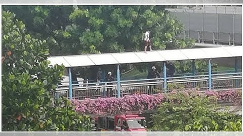 SCDF rescues the woman on an overhead aerial bridge in Yishun