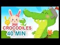 Ah les crocodiles et 40 min de comptines  titounis