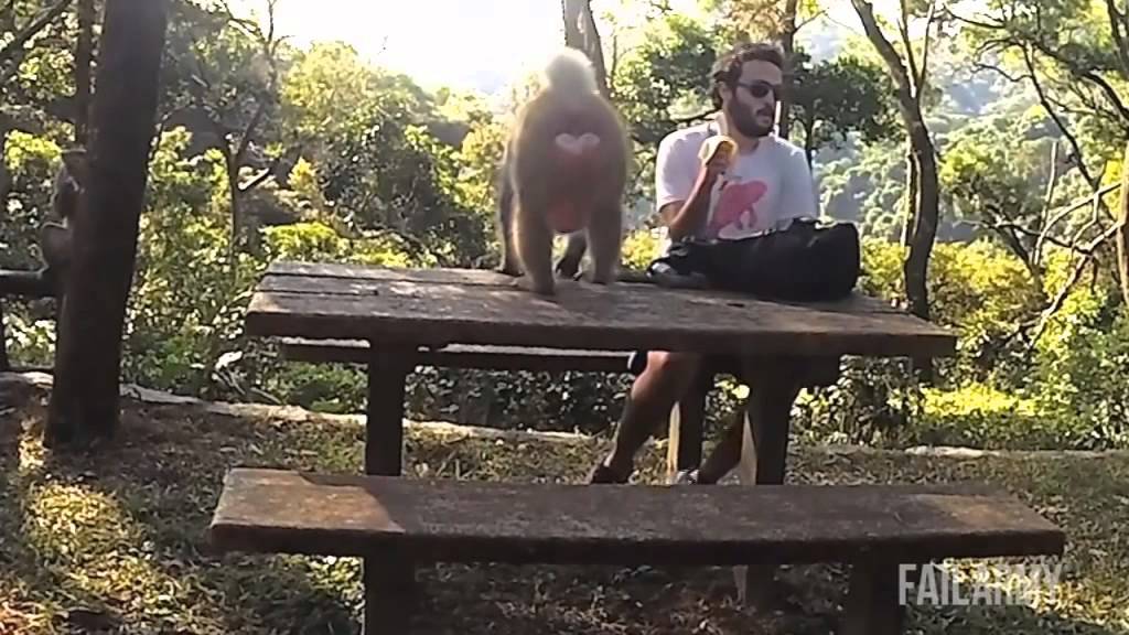 Best Of Fails 2015 Part 2 (Best Fails/Wins of the year!)