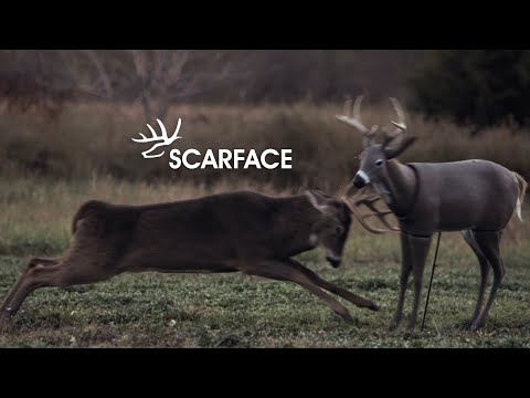 Deer Hunting - BUCK SMASHES DECOY! You WON'T Believe What Happens Next...