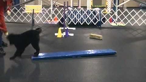 Jordy Learning 2on2off