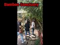 1Day Trip to Baguio