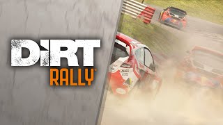 DiRT Rally PS VR - out now! [UK] screenshot 3