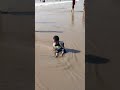 Cute Baby Playing on Kashid Beach | Fun Moment with Cartoon & Monkey Toy