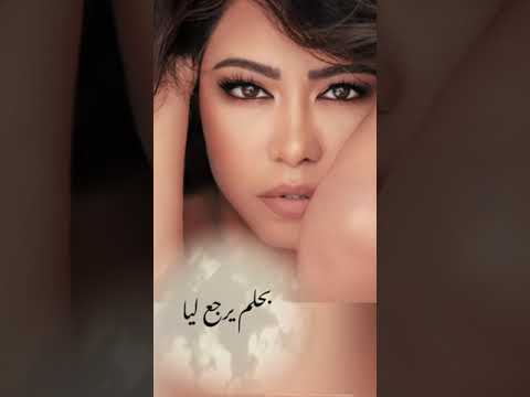 شيرين ت عود وب قوة لا العين بتنام ولا عارفين نتهنى ومازال عالبال شيرين عزيز الشافعي تامر حسين