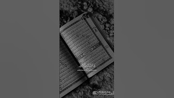 قران كريم #اكسبلور #لايك 🌿🌹