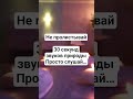 Не пролистывай… 30 секунд  музыки для спокойствия