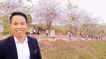 Hồ Tân Xã Khu Công Nghệ Cao Hòa Lạc!