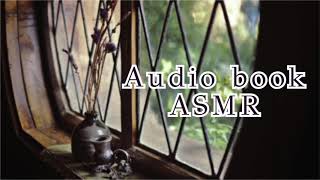 The Hobbit [Audio Book] [ASMR] [Reading you to sleep] [Chapter one]