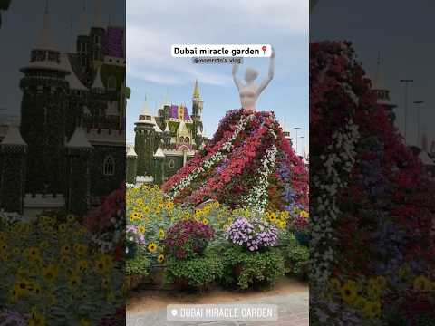 Dubai miracle garden #dubai #dubailife #miraclegarden #dubaimall #dubaitourism #dubaivlog #travel