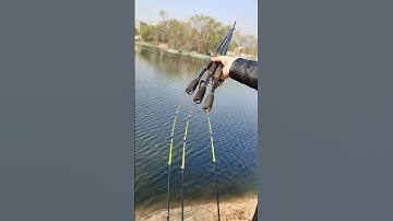 Cần câu máy ikada 2 khúc 1m8 mét siêu dẻo 0.6li câu bè, cá dìa🎣 #fishing #shorts