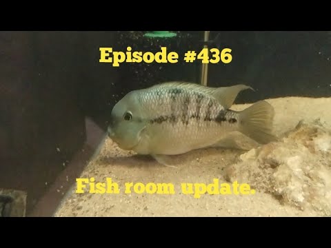 Fish room update.