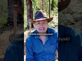 The Regenerative Farming checklist pros use that hobbyists ignore.