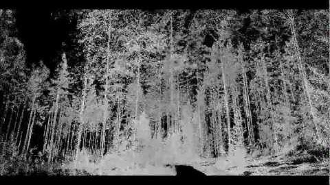Mobile laser scanning in forest