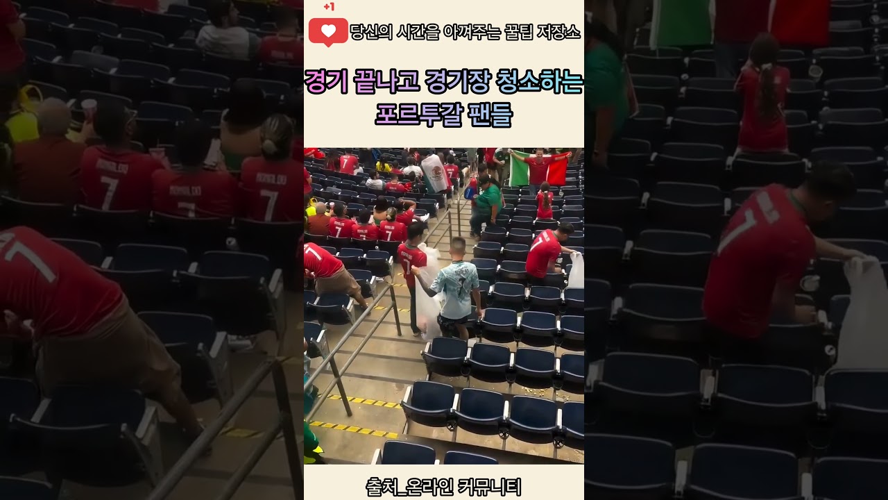 경기 끝나고 경기장 청소하는 포르투갈 팬들 ㄷㄷ​#포르투갈 #축구팬 #경기장청소 #시민의식 #이슈