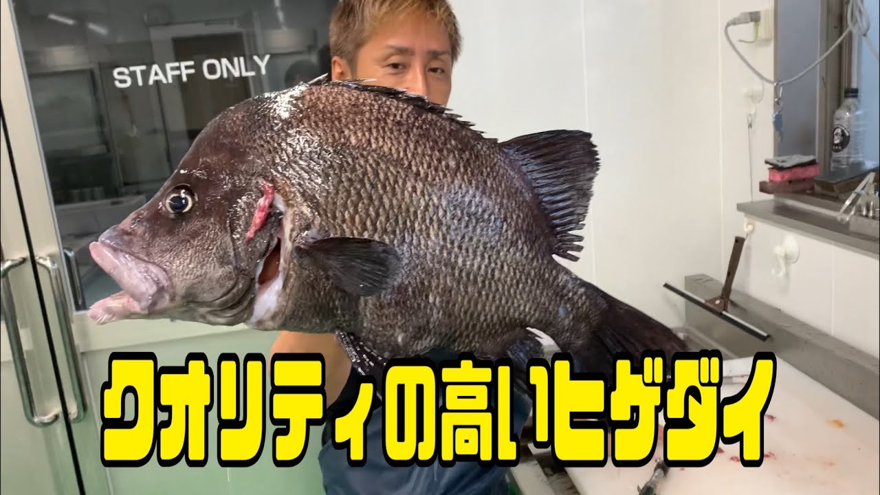 クオリティの高いヒゲダイ編 Vol 391 Youtube