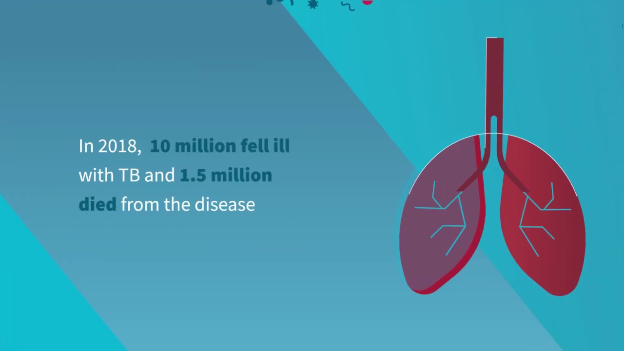 Tuberculosis Battling the world's deadliest infectious disease YouTube