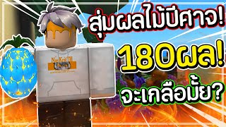 เมื่อผมสุ่มผลไม้ปีศาจ180ผล จะเกลือไหม!? (steve's one piece)