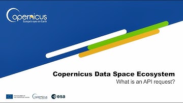 What is an API request