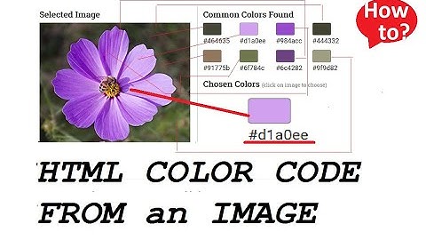 Get HTML Colors from an Image