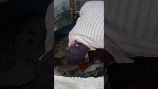 Indian Rock python rescue